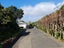 36A Thatcher Street, Mission Bay, Auckland - Carousel 4