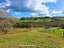1344 State Highway 12, Oue, Kaikohe - Carousel 10