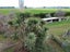 53 Hilderthorpe Road, Hilderthorpe, Waitaki Bridge - Carousel 22