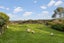199 Smith Road, Otaua, Waiuku - Carousel 22