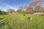 8A Manse Street, Hampstead, Ashburton - Carousel 34