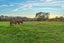 281 Riverhead Road, Riverhead, Riverhead - Carousel 2