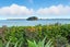 204B Beach Road, Katikati, Katikati - Carousel 5