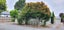 34 Shirley Road, Shirley, Christchurch - Carousel 11