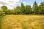 128 Kerrytown Road, Kerrytown - Carousel 42