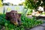 1/25 Mariposa Avenue, Lynfield, Auckland - Carousel 19