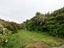 221 Bowmont Street, Georgetown, Invercargill - Carousel 13