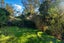 49 Cockerell Street, Brockville, Dunedin - Carousel 13
