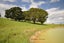 69 Matakohe Wharf Road, Matakohe, Matakohe - Carousel 12
