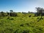 0 Ruatiti Rd, Ruatiti - Carousel 14