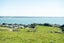 33 Irwin Street, Riverton/Aparima - Carousel 9