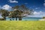 12 Oxford Terrace, Devonport, Auckland - Carousel 22