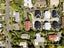 8/18 Mahoe Street, Melville, Hamilton, Waikato - Carousel 19