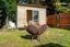 20 Carnock Road, Harwood, Dunedin - Carousel 14