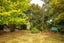 128 Kerrytown Road, Kerrytown - Carousel 41