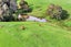 119 Honey Road, Waiuku - Carousel 24