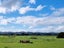 82 Jefferis Road, Waerenga - Carousel 14