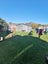 281 Taupo Road, Taumarunui - Carousel 13