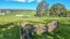 1283 Waikite Valley Road, Rotorua - Carousel 28