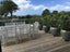 70 Beachlands Road, Beachlands, Auckland - Carousel 5
