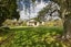 184 Te Matai Road, Whakarongo, Palmerston North, Manawatu / Whanganui - Carousel 6