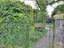 15B Allendale Road, Mount Albert, Auckland - Carousel 9