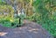 26 Rakiura Parade, Otatara - Carousel 27