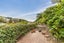 41 Melrose Road, Island Bay, Wellington - Carousel 17