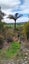 0 Darkies Terrace Road, Charleston, Cape Foulwind - Carousel 2