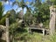 173 Tara Road, Kaiwaka - Carousel 22