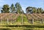 0 Nursery Road, Queensberry - Carousel 2