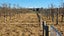 831 Downs Road, Eyrewell, West Eyreton - Carousel 5