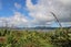 119 Kelly Jade Avenue, Matarangi - Carousel 7