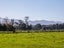 255 West Bush Road, Upper Plain - Carousel 20