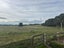 500 Mill Road North, Roslyn Bush, Invercargill - Carousel 31