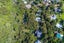75 Victoria Road South, Onetangi, Waiheke Island - Carousel 5
