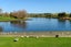 93 Landing Drive, Pyes Pa, Tauranga - Carousel 15
