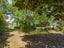 6 Trinity Lane, Greytown, Greytown - Carousel 11
