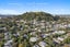 24 Essex Road, Mount Eden, Auckland - Carousel 36