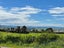 131 Ridge Road, Tuakau, Tuakau - Carousel 5
