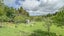8308 Paeroa Kopu Road, Hikutaia, Paeroa - Carousel 6