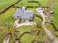 574 Wardville Road, Wardville, Waharoa - Carousel 29