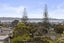 16 Manhattan Heights, Glendene, Auckland - Carousel 27