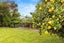 8 Owen Place, Springlands, Blenheim - Carousel 21