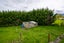 421 Tainui Road, Morrinsville - Carousel 13