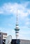 6G/16 Chapman Street, Grey Lynn, Auckland - Carousel 21