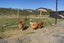 92 Tiro Kina Road, Tasman, Upper Moutere - Carousel 37