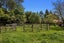 326B White Pine Bush Road, Poroporo, Whakatane - Carousel 24