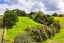 25 Devich Road, Wellsford - Carousel 45