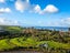 5/1090 Beach Road, Torbay, Auckland - Carousel 13